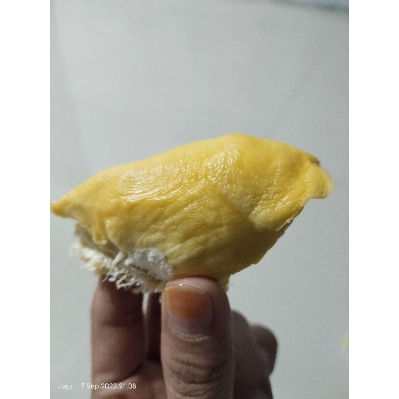 

DURIAN_BAWOR