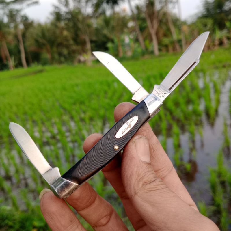 BUCK 303 Cadet 1967 - 1972 Junior Stockman black sawcut pocket knife 3.25 inch closed Collectible Vi