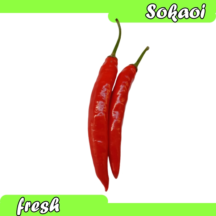 

LOMBOK MERAH BESAR LOMBOK SEGAR