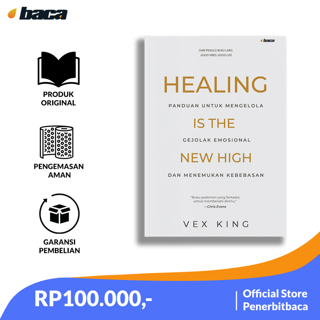 Healing Is The New High (New Cover)