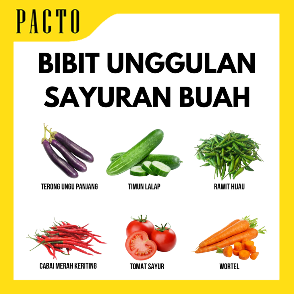 Bibit Sayuran Panen Bibit Unggul Sayuran Benih Sayur Bibit Premium