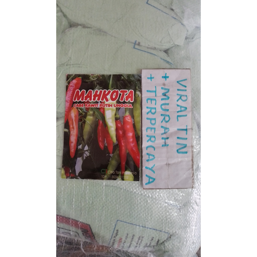 benih cabe rawit putih unggul mahkota 10 gr
