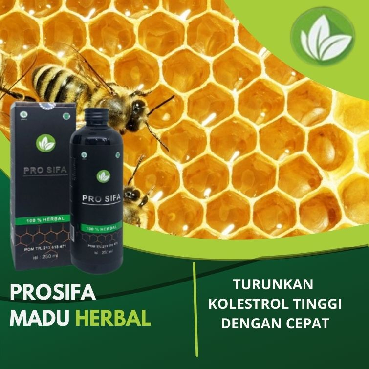 

PROSIFA | PRO SIFA | Madu Prosifa MADU HERBAL