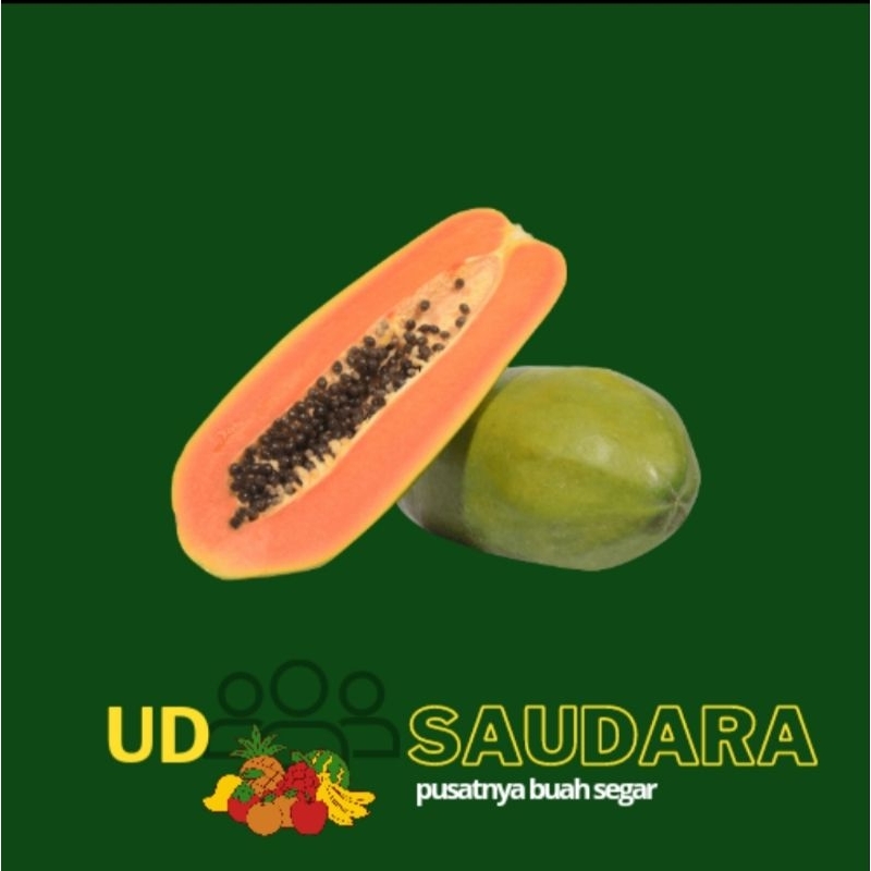 

UD BUAH 3 SAUDARA OFFICIAL!! Pepaya California