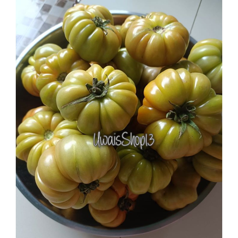 

Tomat ranti ( tomat khusus sambel tempong khas Banyuwangi ) 500gr.
