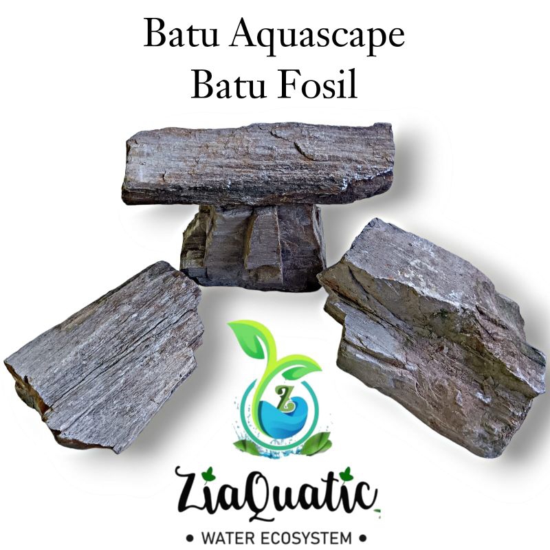 Batu Aquascape/Posil Stone/Hiasan Aquarium/Iwagumi/Natural Aquascape