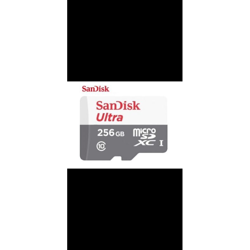 SanDisk microSD Card C10 Ultra Level 10 256GB