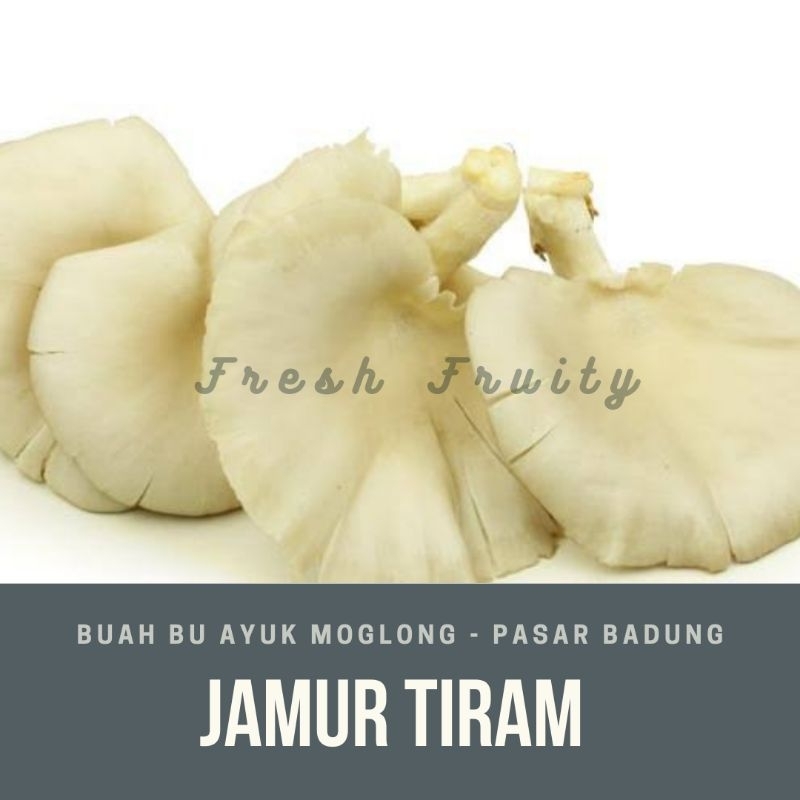 

jamur tiram atau jamur kuping