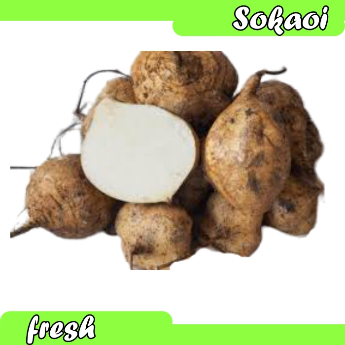 

BUAH BANGKUANG SEGAR 1KG