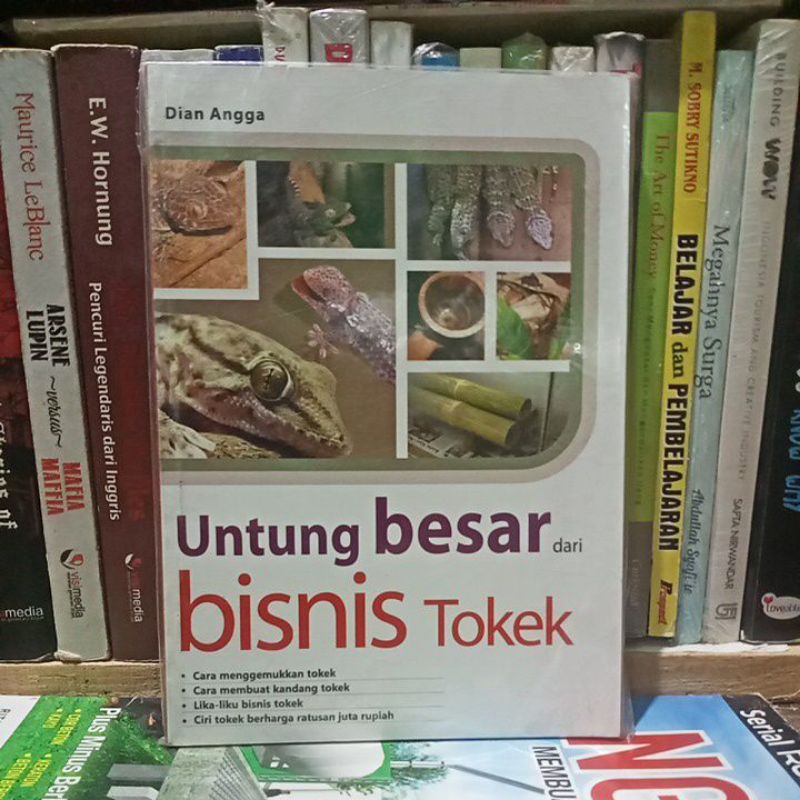 Untung besar dari bisnis tokek.   f3