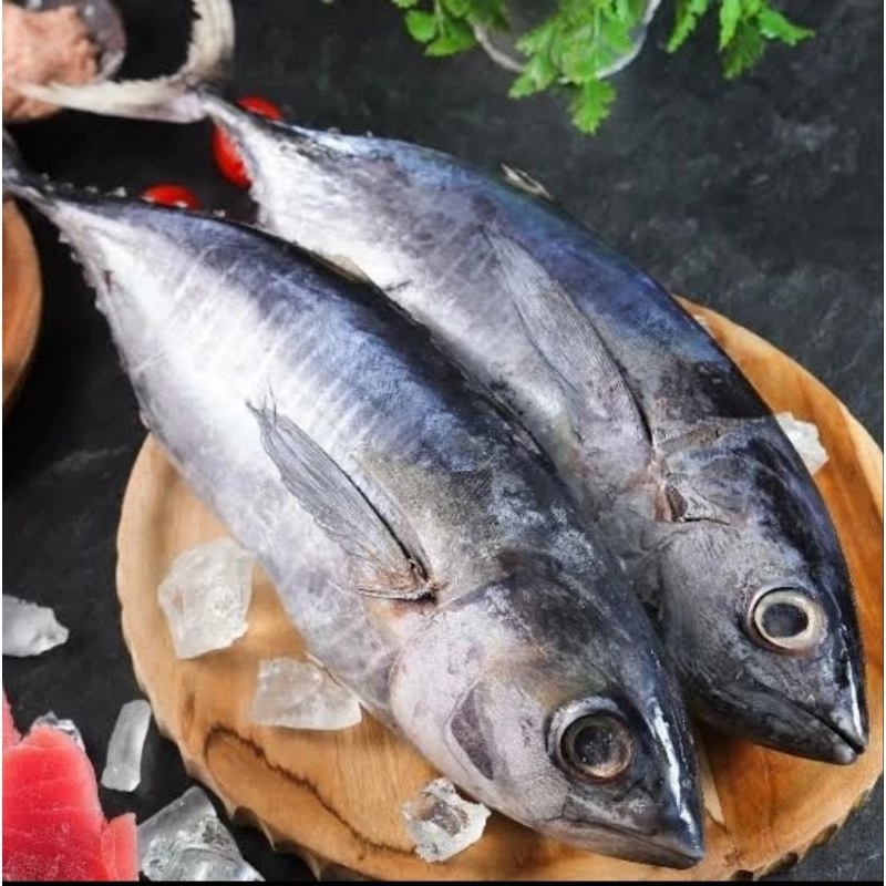 

BABY TUNA 500gr