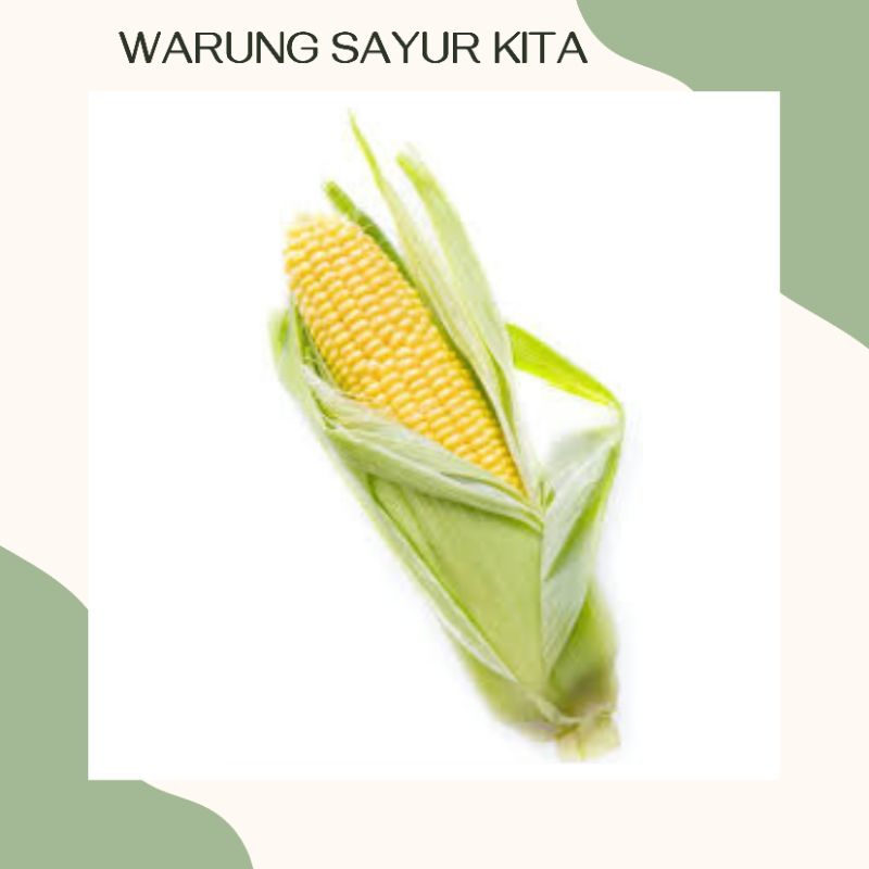 

Jagung 1 Buah