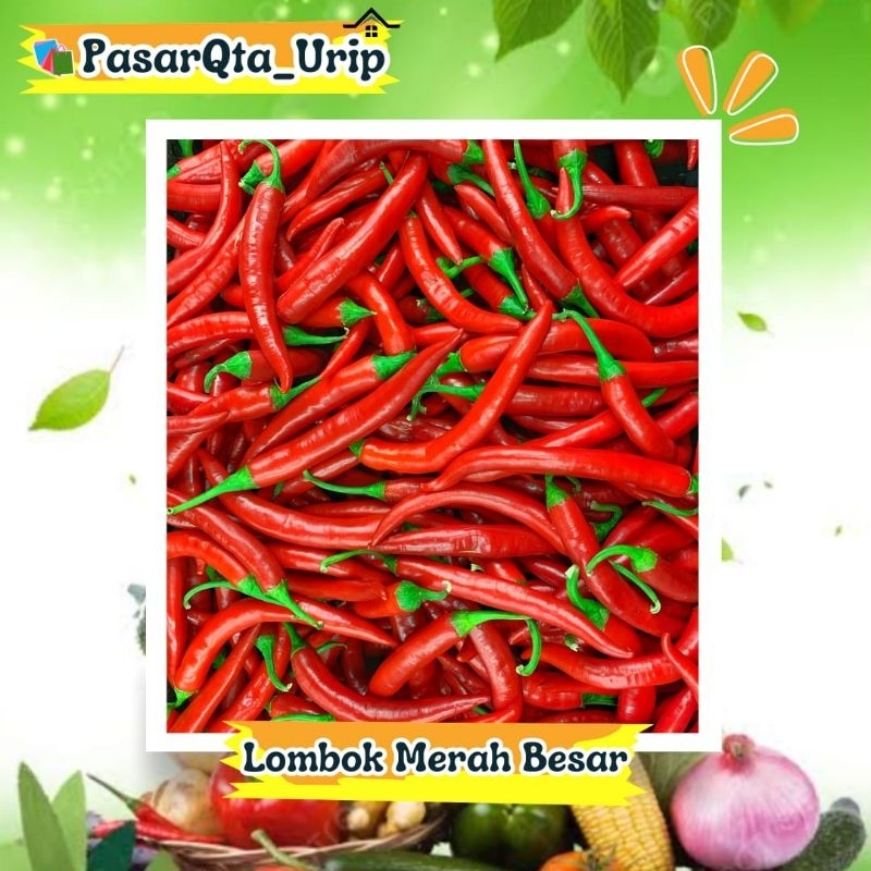 

Lombok merah besar / Cabai merah besar / Pasar online makassar