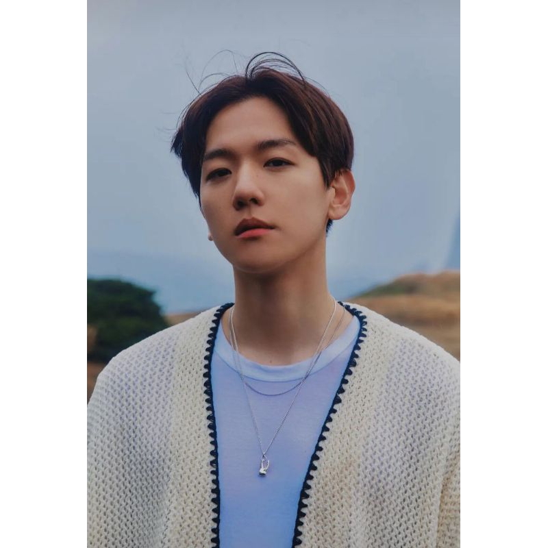 member kit Zb1 park guwnook