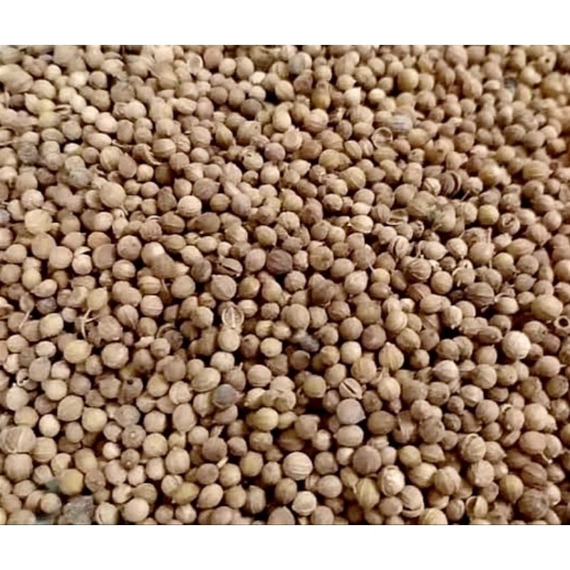 

Ketumbar coklat, 100 gram
