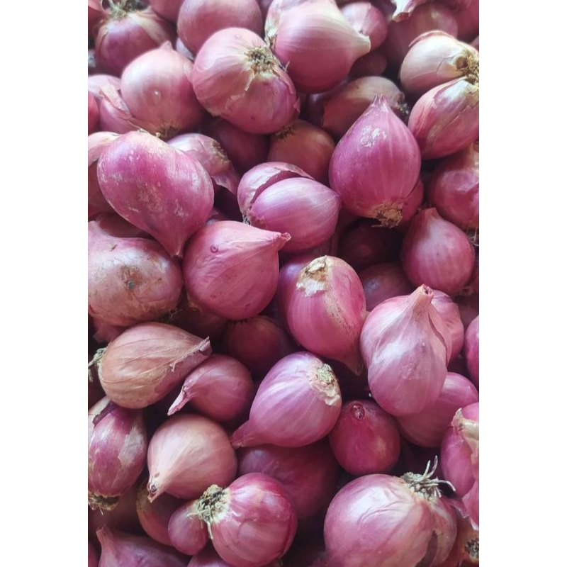 

Bawang merah