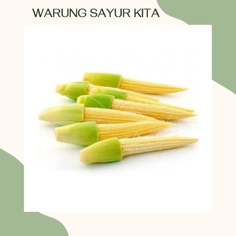 

Jagung Putren