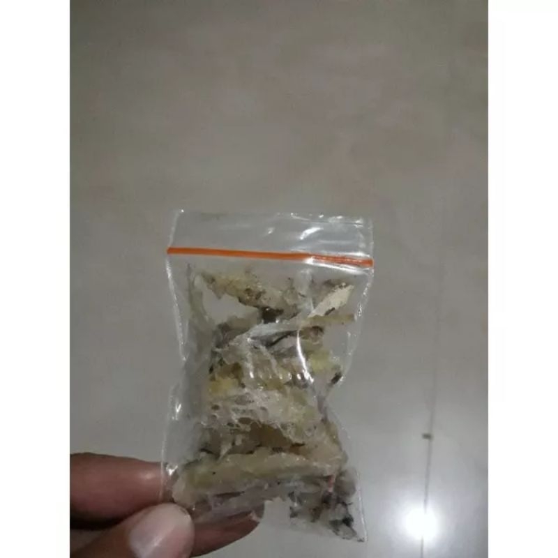 

Sarang Walet Kotor Hancuran (harga per gram)