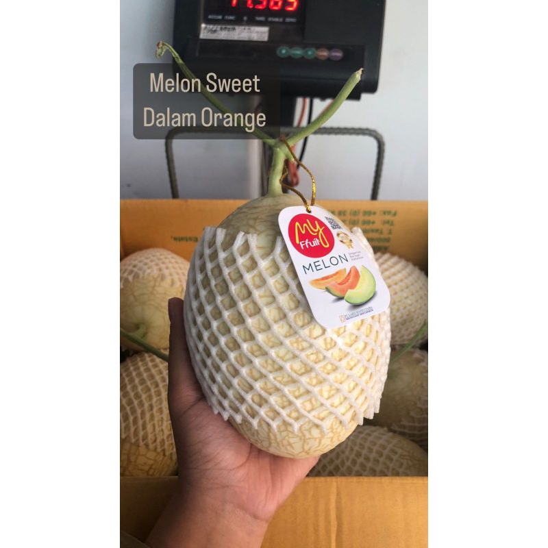 

Melon Sweet My Fruit Dalam Warna Orange /kg