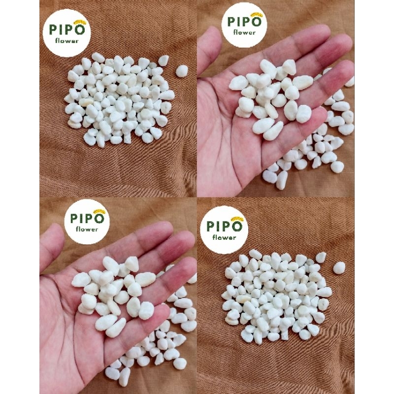 Batu Hias Kecil Putih