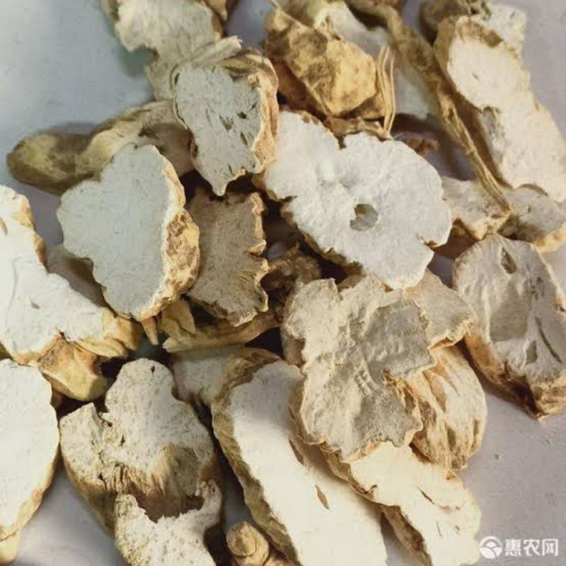 

600 G GR GRAM 白蔹 BAI LIAN JAPANESE AMPELOPSIS ROOT