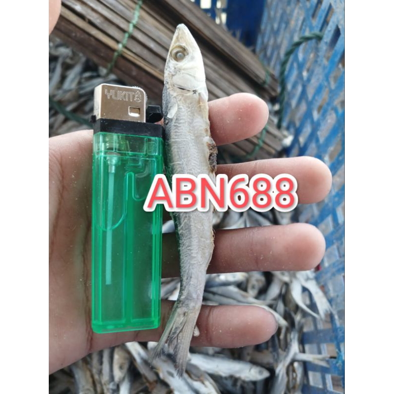 

ikan asin japuh ketan berat 200grm