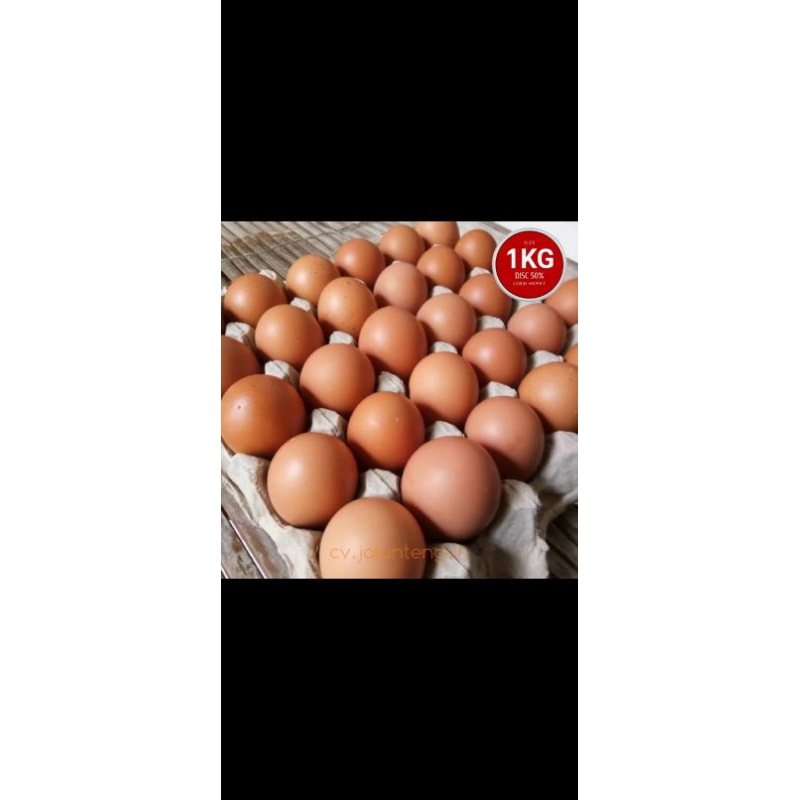 

telur 1kg