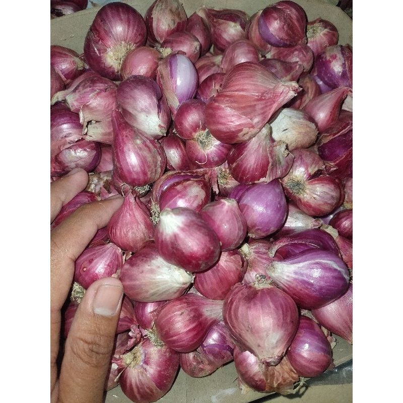 

Brambang merah jowo 500gr - 1kg