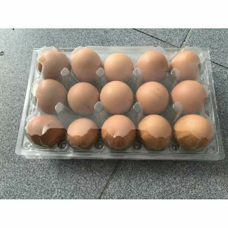 

Telur ayam 15 butir (Jogja dan Sekitarnya)