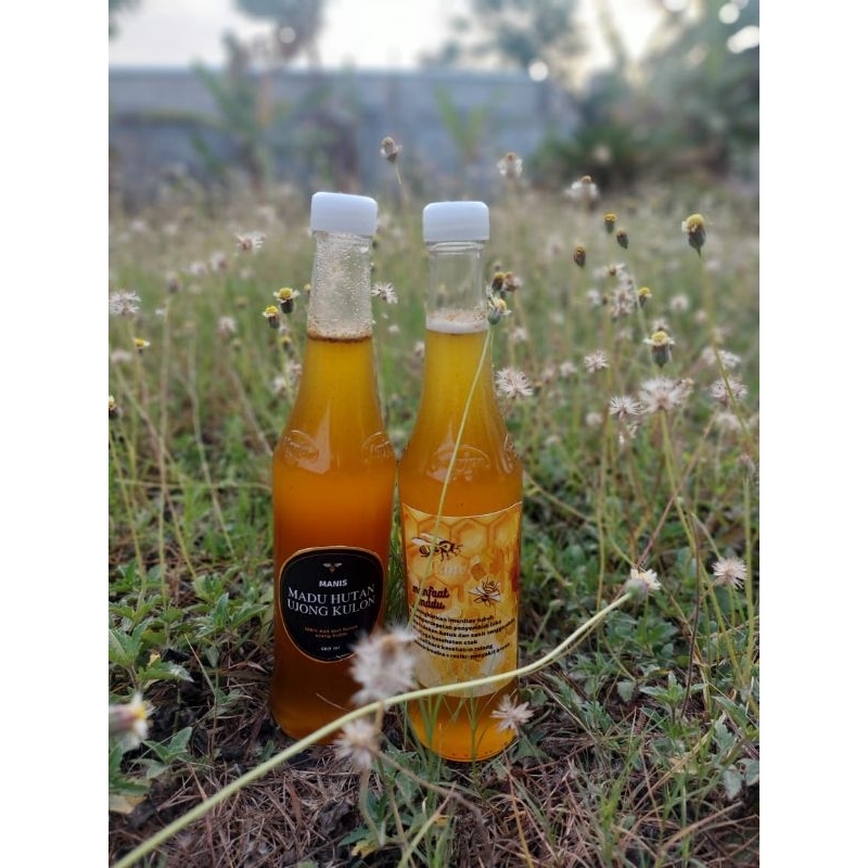 

madu hutan Ujong kulon murni 100%