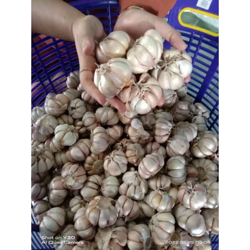 

Bawang Putih Super pilihan 1kg ½kg ¼kg