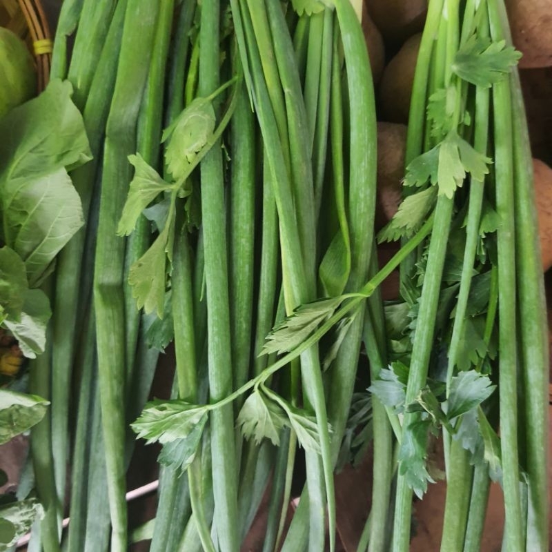 

Ready Stok Daun Bawang Siap Kirim