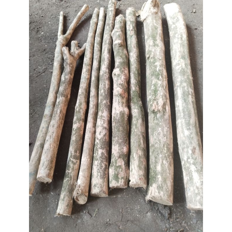 

batang kayu kopi 1kg