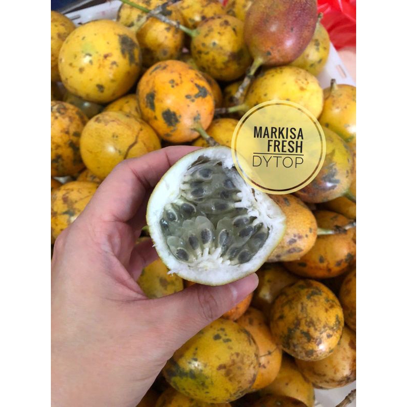 

Buah Markisa Madu Manis Fresh Segar
