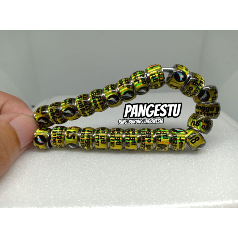 RING MERPATI DONAT HOLOGRAM LUBANG 7,5 MM KUNING LIS BAJA BISA REKUES NAMA NO HP NO URUT WARNA DLL