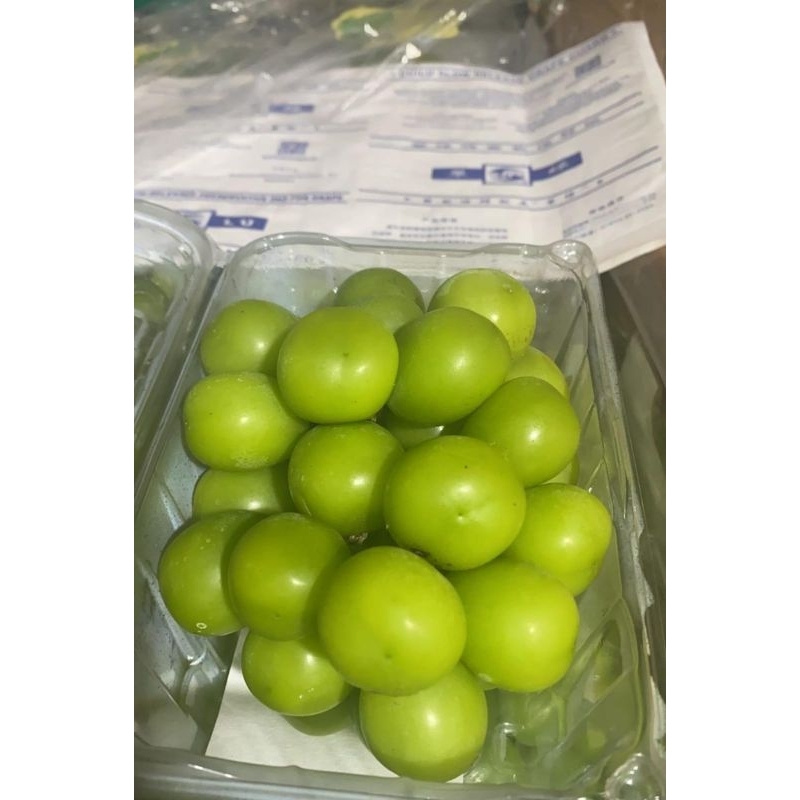 

Buah Segar Anggur Muscat Hijau 1 Dus 10 Pack