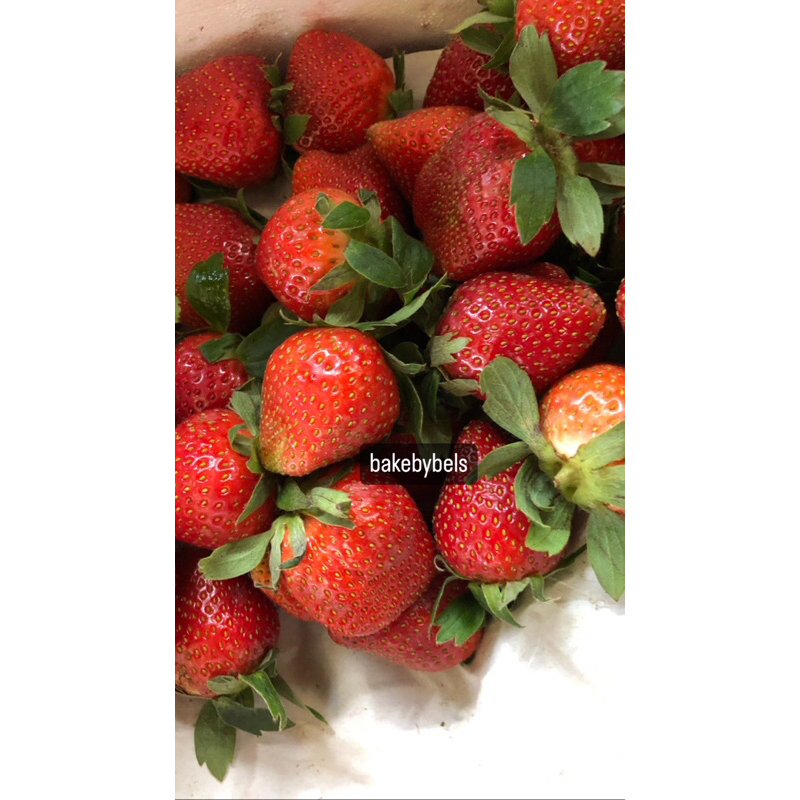 

STRAWBERRY FRESH JUMBO READY PALEMBANG