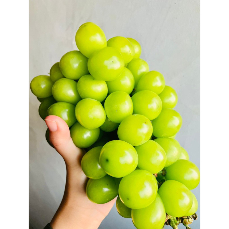 

ANGGUR SHINE MUSCHAT IMPORT 500 GRAM