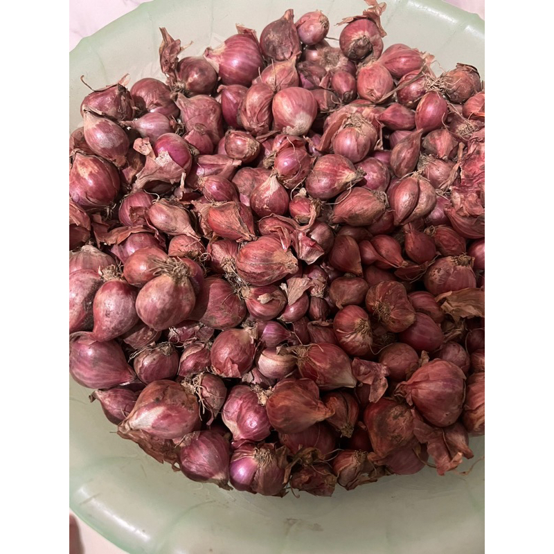 

bawang merah Brebes
