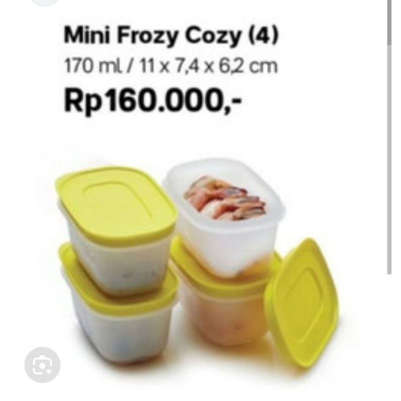 Mini frozy Tupperware