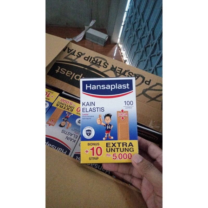 hansaplast 100 + 10