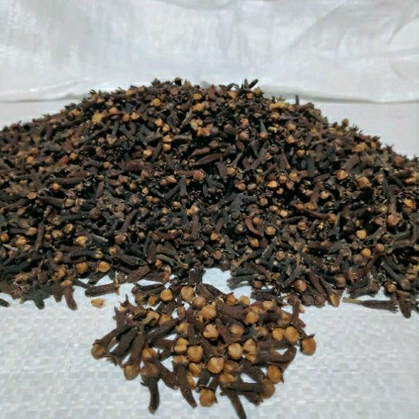 

Cengkeh/Cengkih/Clove/AB6/AB10/Zanzibar/Siputih/Sikotok/Bumbu/Rempah/Dapur/Original/Wholesale/Komoditi/Super/Indonesia/Ekspor/Impor/Local/UMKM/Indosoil/SariBumi/Kabanjahe/Karo/Sumut/SumateraUtara/Agrikultur/Agriculture