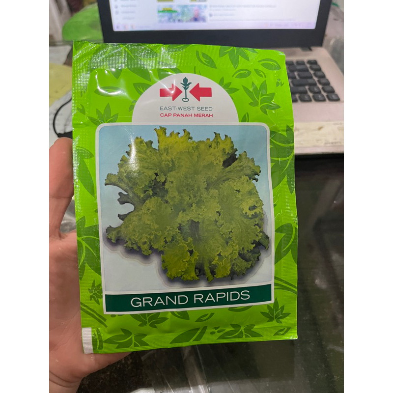 BIBIT BENIH SELADA GRAND RAPIDS PANAH MERAH 15 GRAM