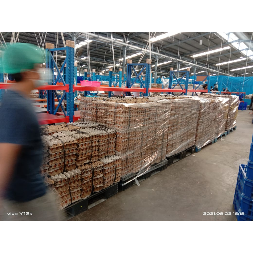 

IO TELUR BEBEK MENTAH 1 PACK (15 BUTIR) SUPPLIER TELUR HEN-HEN