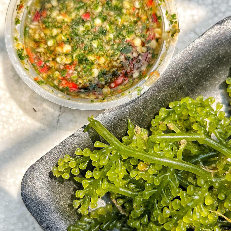 

(WAJIB INSTANT) Green Caviar / Anggur Laut + Cocolan Salad Thailand by Quinnkitchen