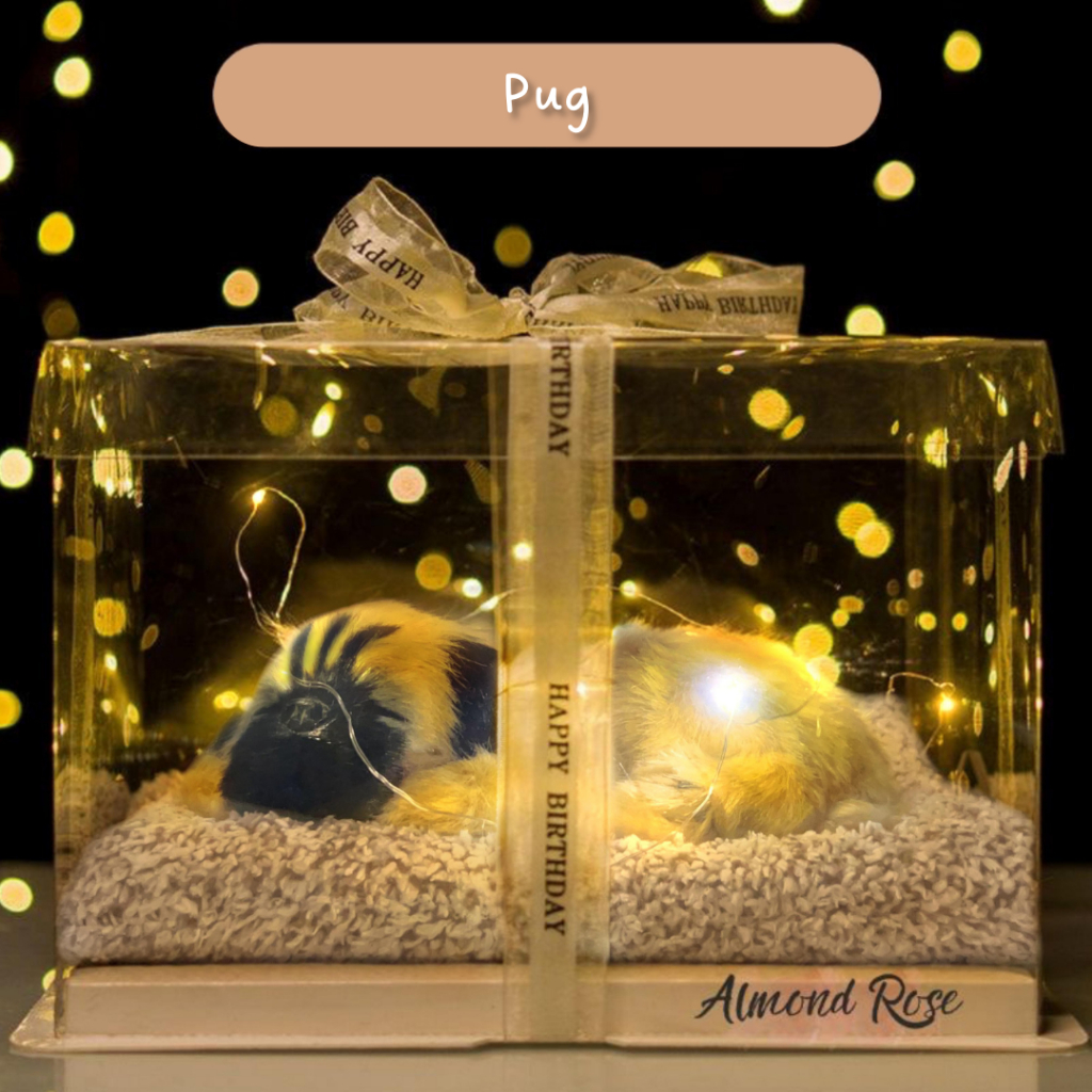 PUG - Hampers Boneka Tidur kado cewe kado pacar hadiah kado boneka kucing kucing arang bambu boneka 