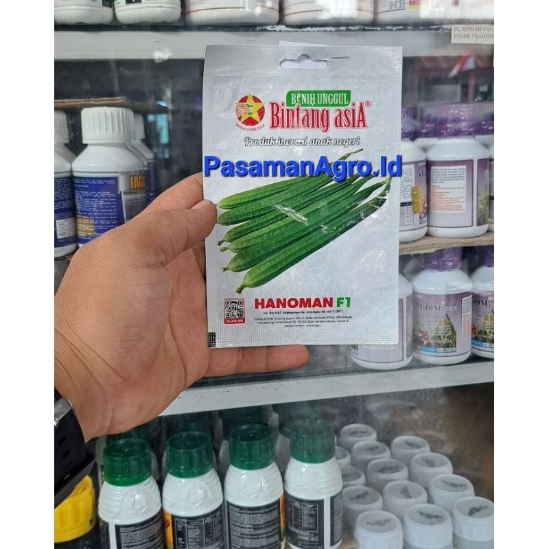 BENIH OYONG / GAMBAS HANOMAN F1 BINTANG ASIA - 2 GRAM