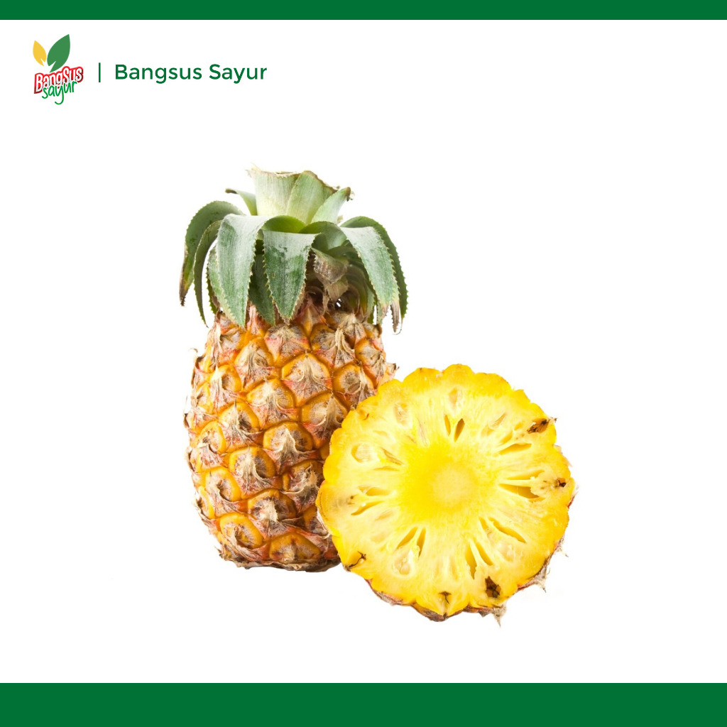 

Nanas 1 Biji Segar Murah