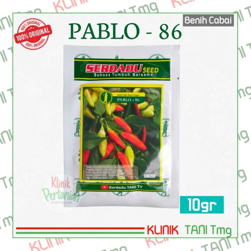 PABLO 86 - 10gr | BENIH CABAI RAWIT SERDADU SEED