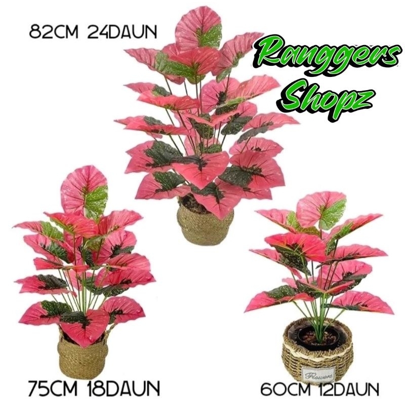 Pohon Aglonema Merah Jumbo Artificial / Monstera Brokat